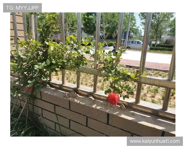 开云线上登陆账号注册流程全攻略新用户快速注册开启购物之旅