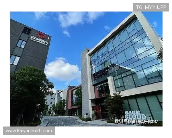 上海开云投资集团有限公司在中国市场的战略布局与未来发展前景分析